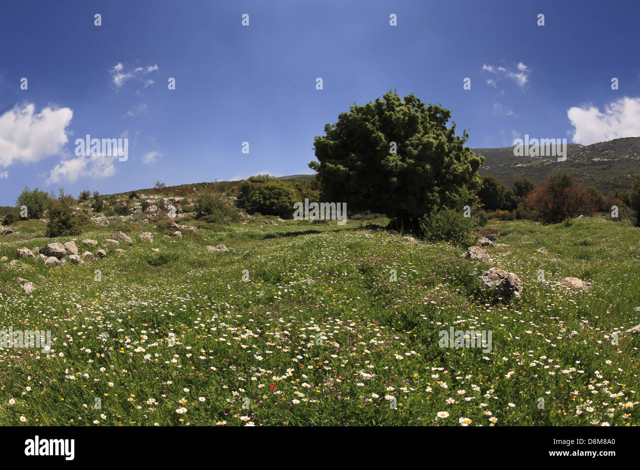 Southern spring hi-res stock photography and images - Alamy