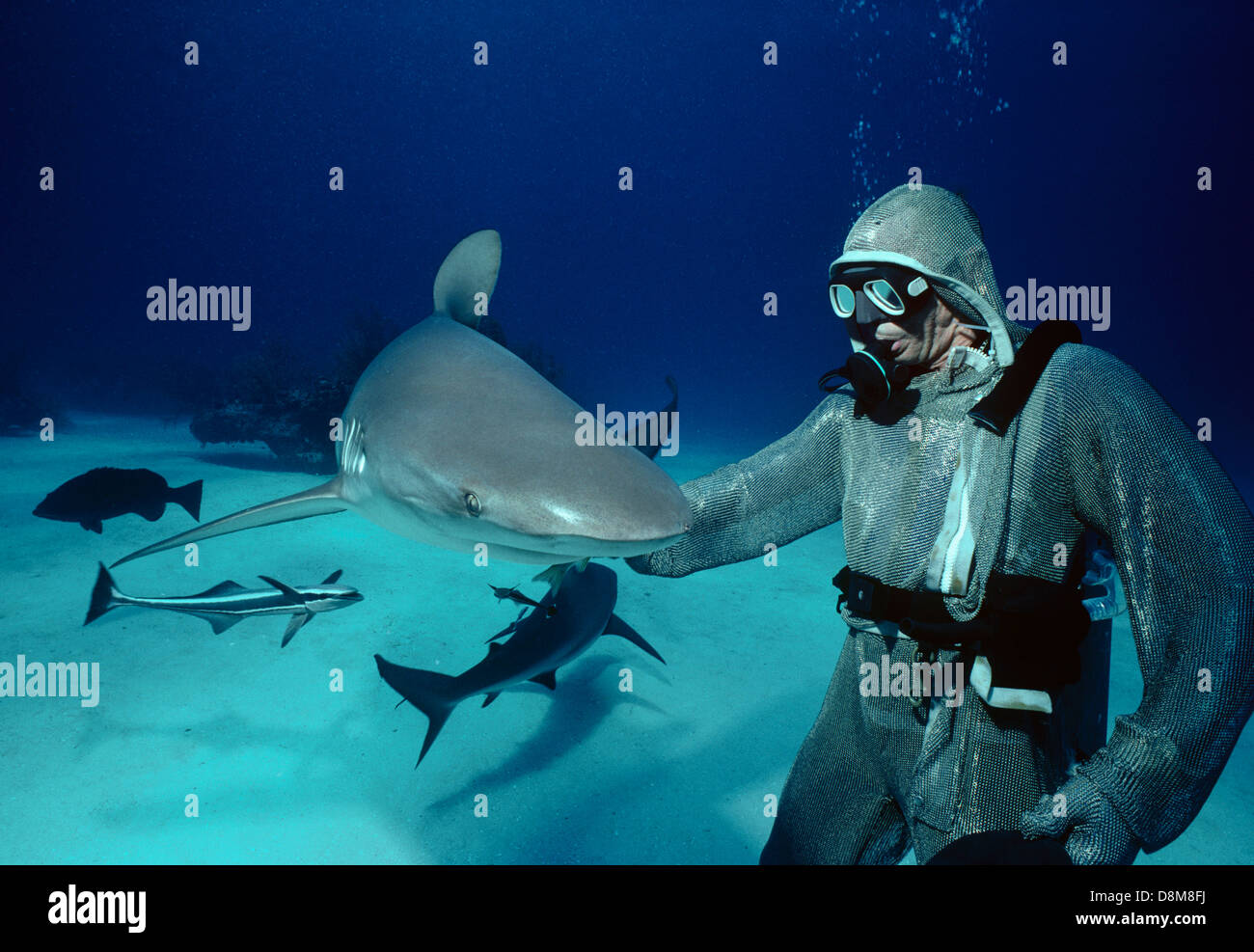 Chain mail underwater hires stock photography and images Alamy