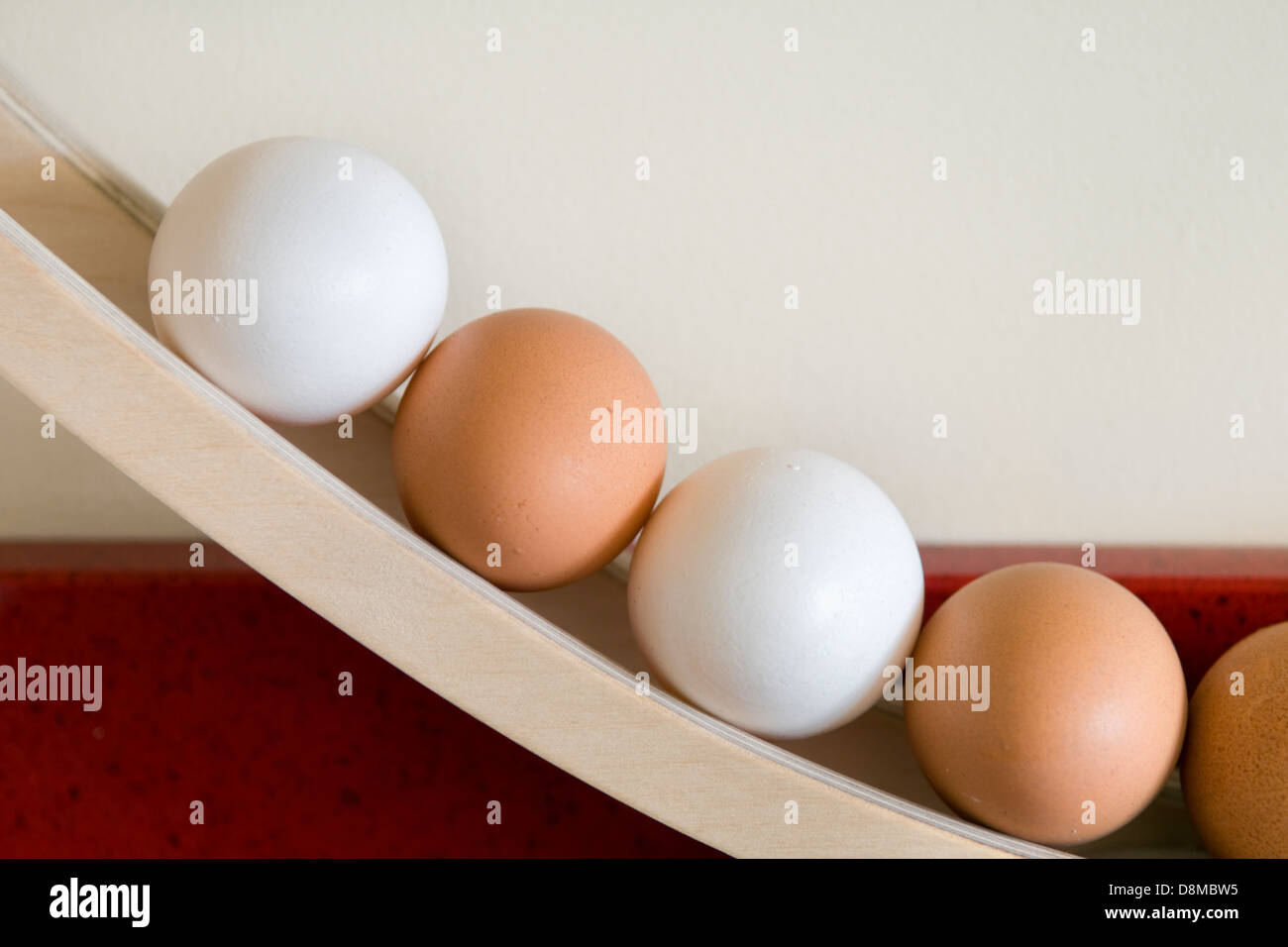 Free range eggs on egg rotator Stock Photo