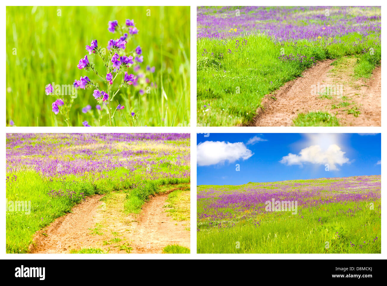 Set Of Four Meadow Backgrounds Each Of 2800 X 1867 Pixels Stock Photo Alamy