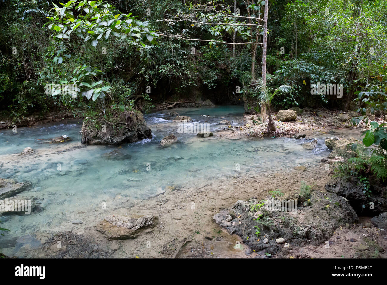 Creek leading up to the Kawasan Waterfalls in Badian on Cebu, Philippines Stock Photo