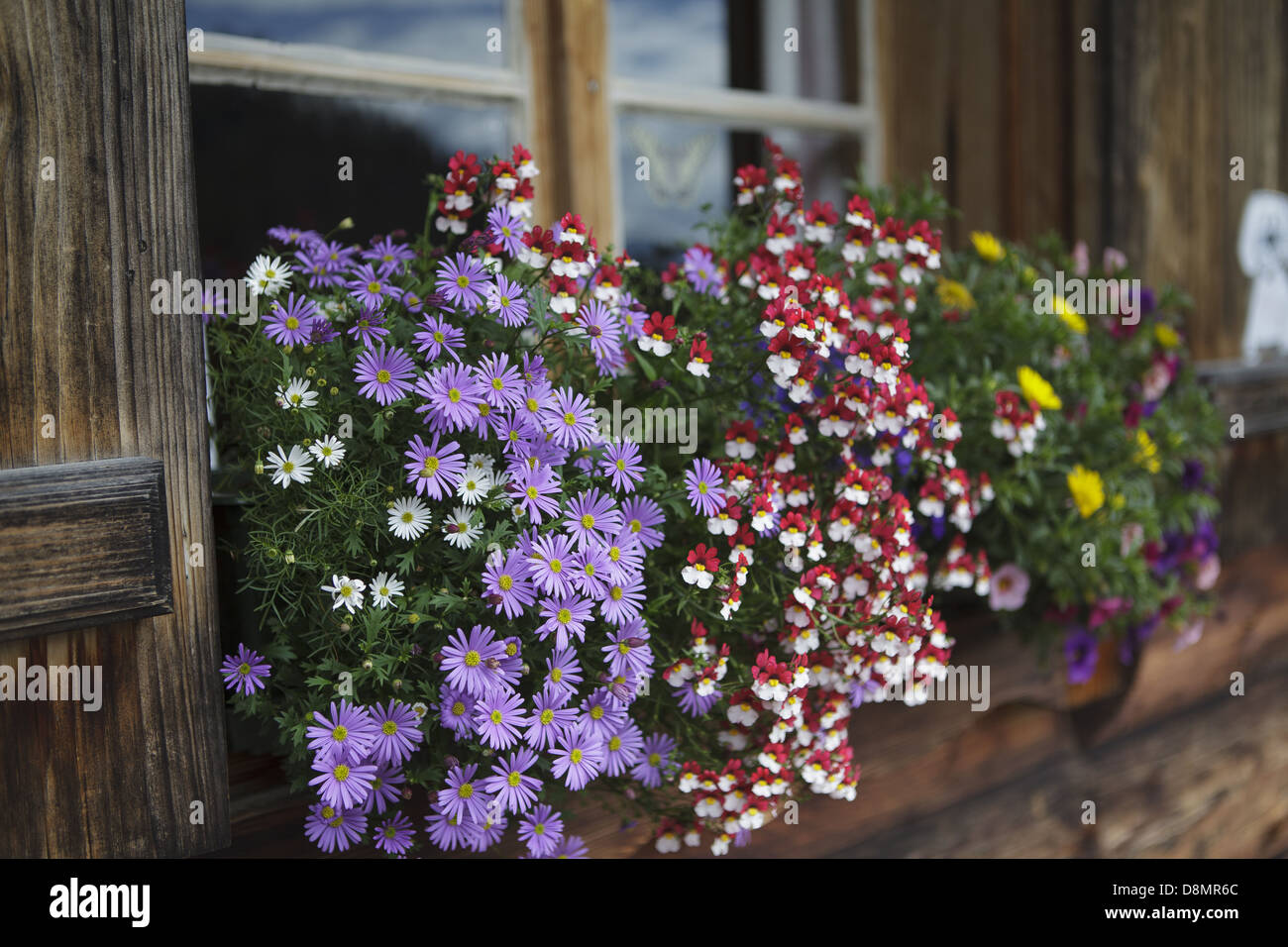 Flower Decoration Stock Photo