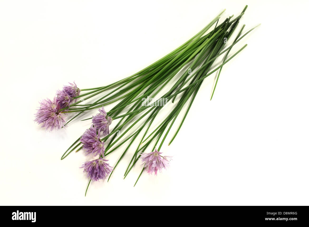 chives Stock Photo