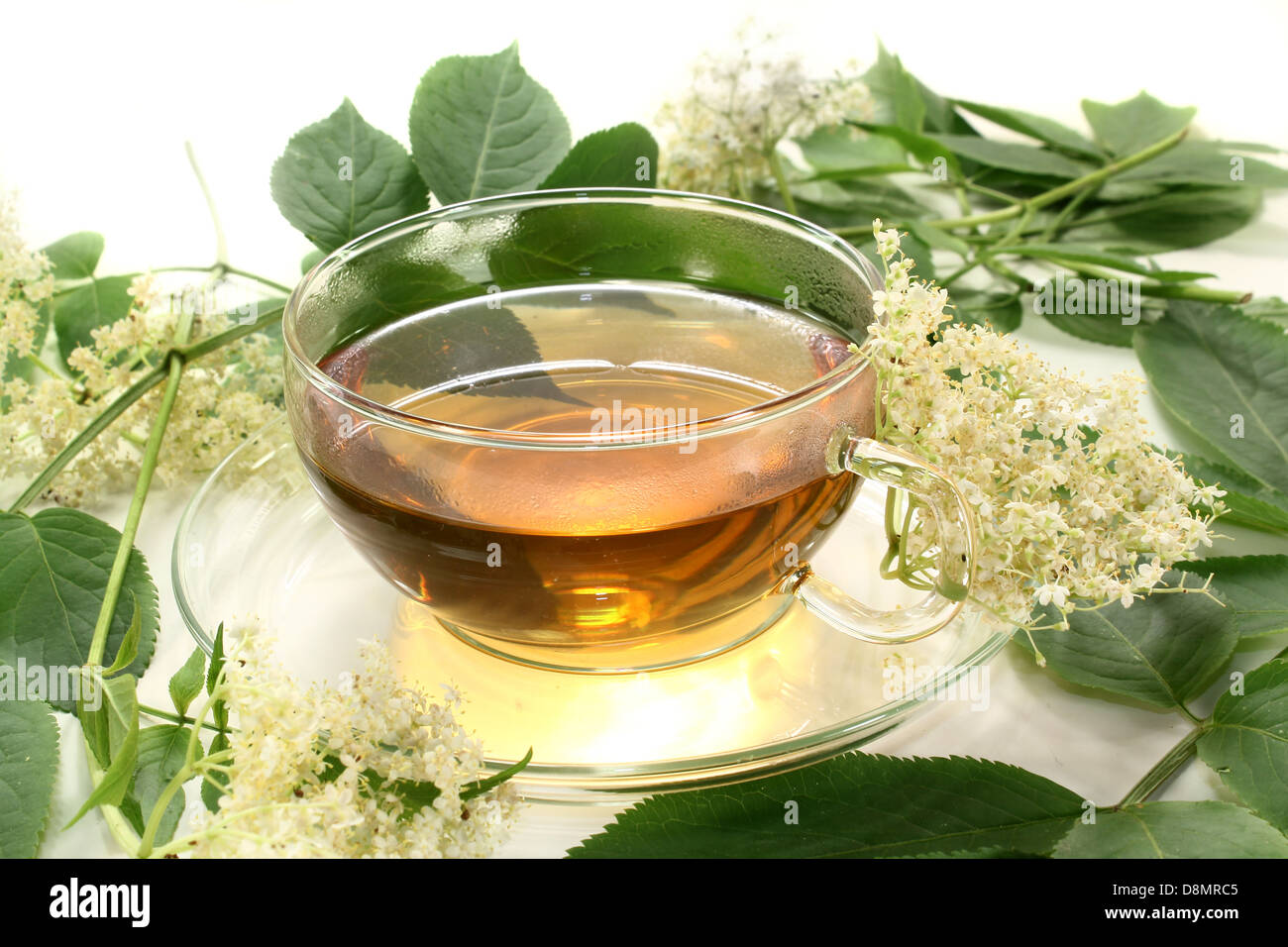 elderberry tea Stock Photo Alamy