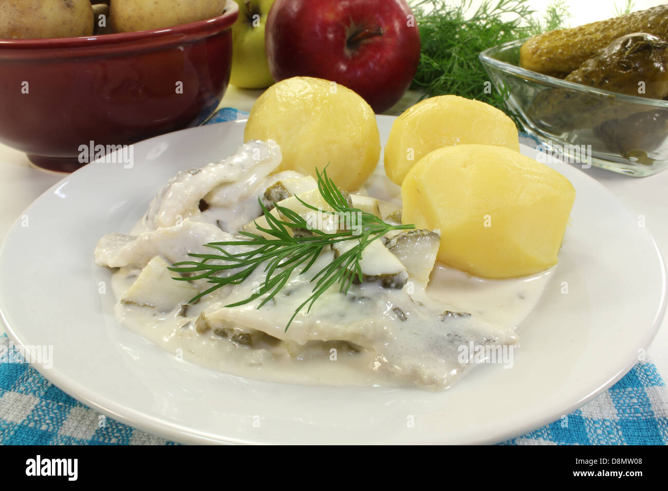 cream herring Stock Photo Alamy
