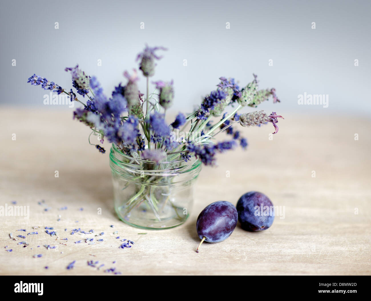 Lavender and Plums Stock Photo