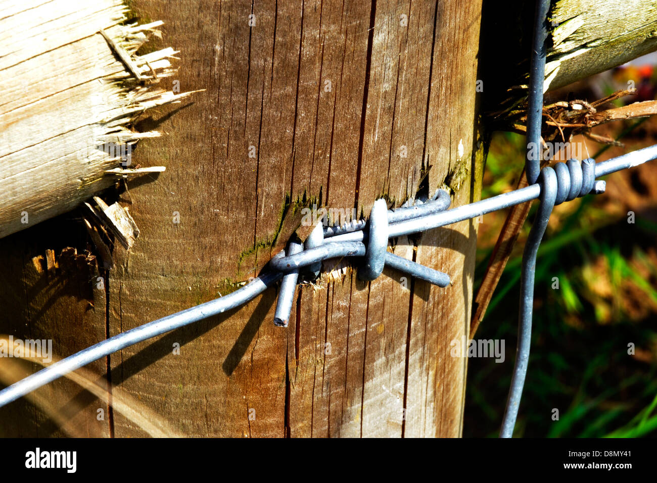 fence post with barbed wire Stock Photo Alamy