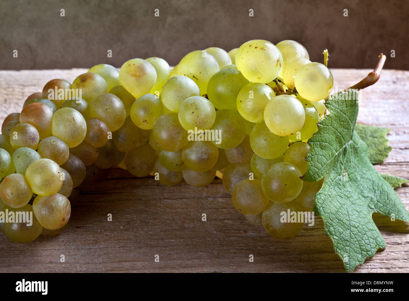 bunch of grapes Stock Photo