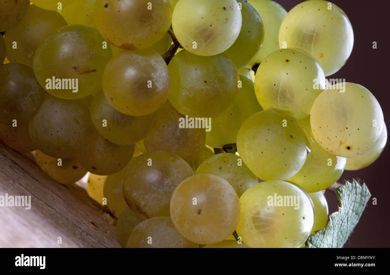 bunch of grapes Stock Photo