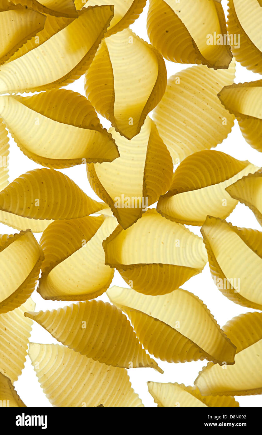 Conchiglie Cut Out Stock Images & Pictures - Alamy