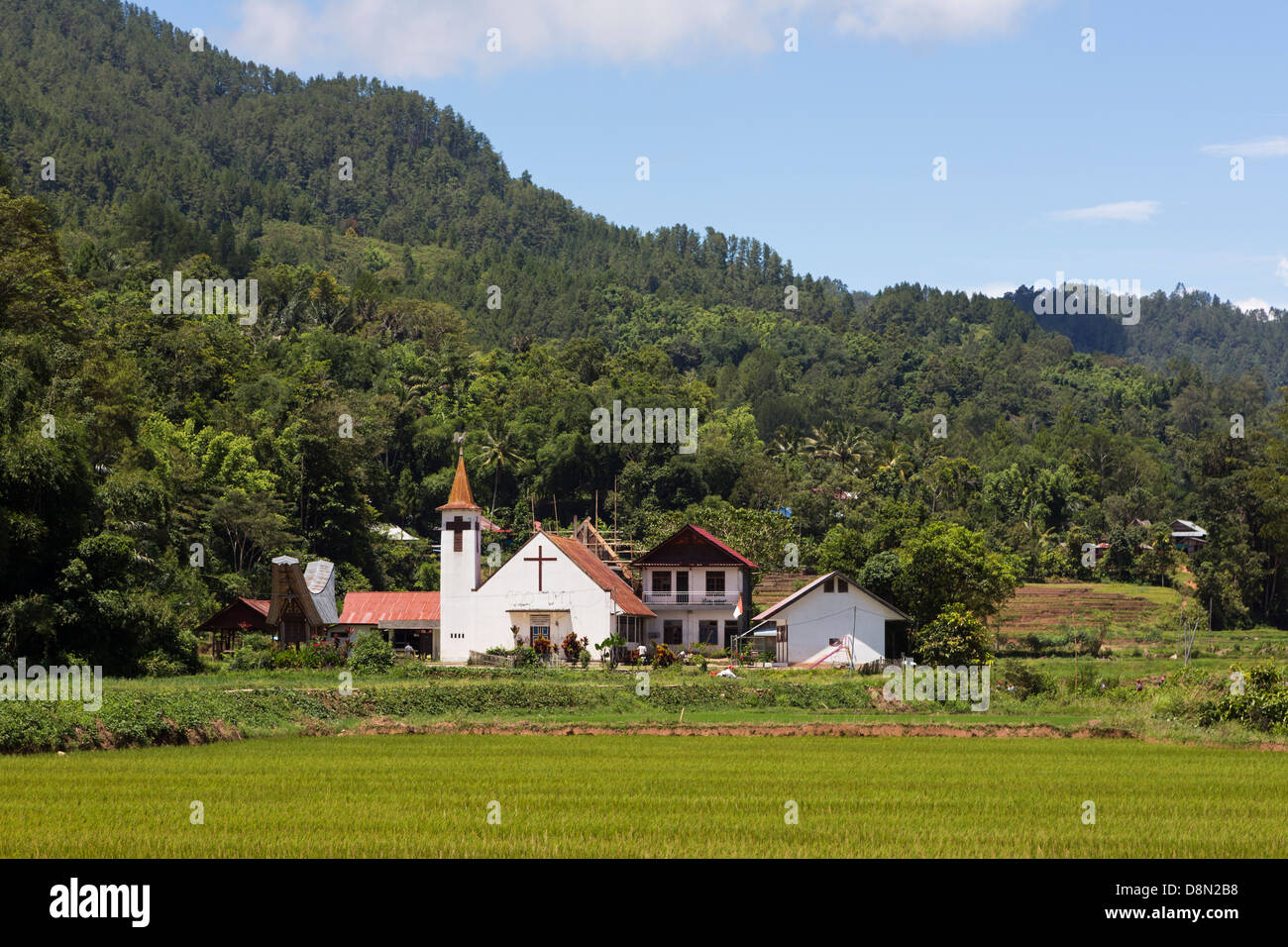 Tana Toraja countryside with traditional houses in Sulawesi, Indonesia Stock Photo