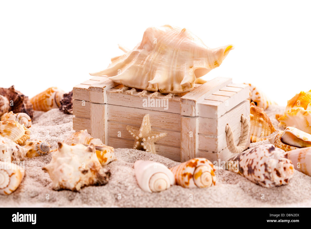 Background with seashells and treasure chest with copy space Stock