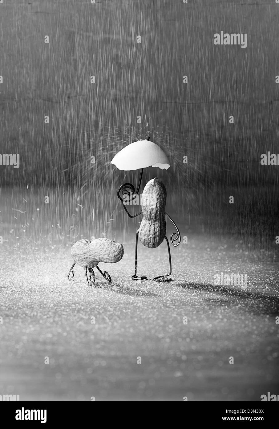 Dog and bad Black and White Stock Photos Images Alamy