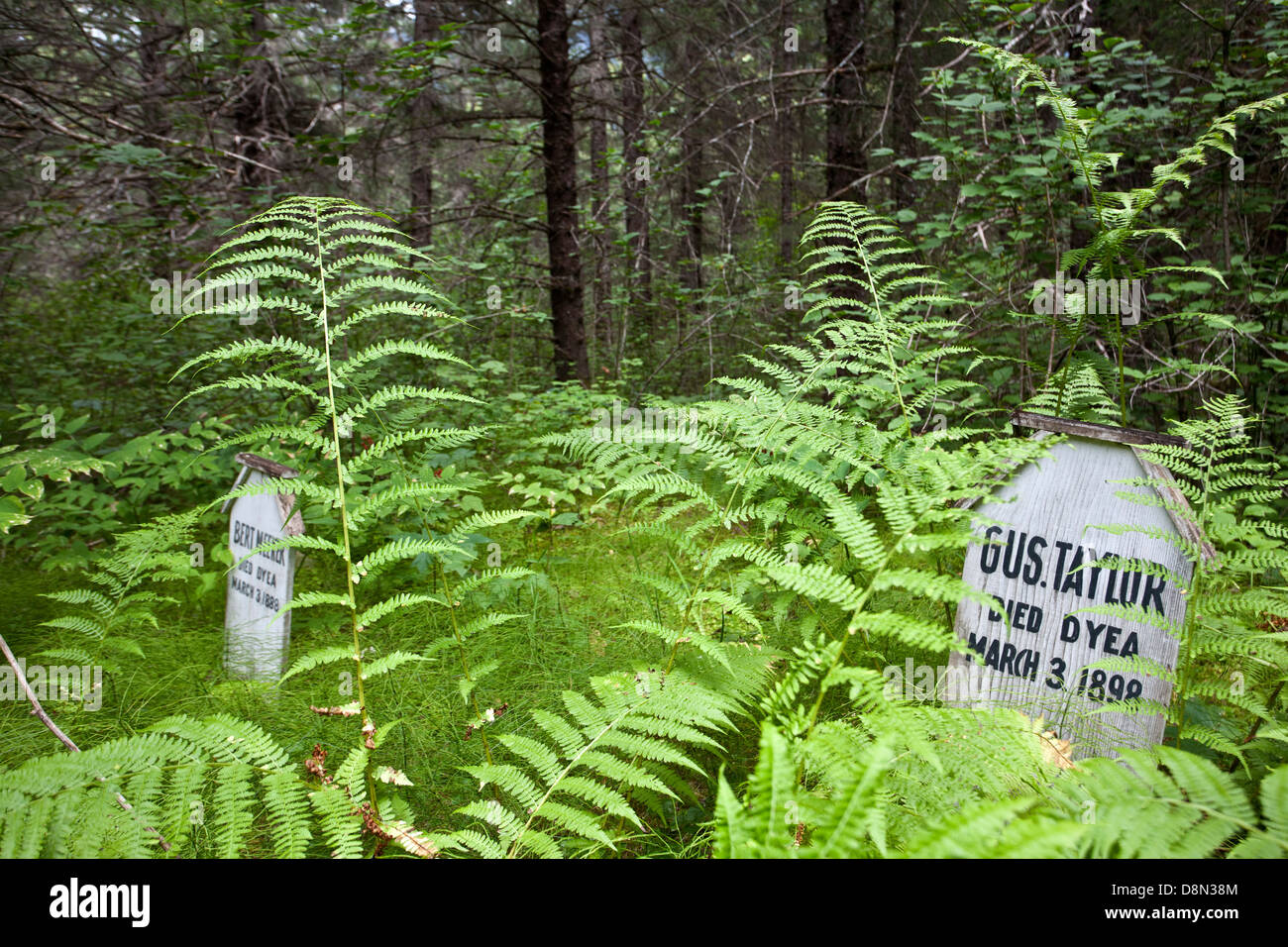 1898 avalanche cemetery. Dyea (ghost town). Chilkoot trail. Alaska. USA Stock Photo