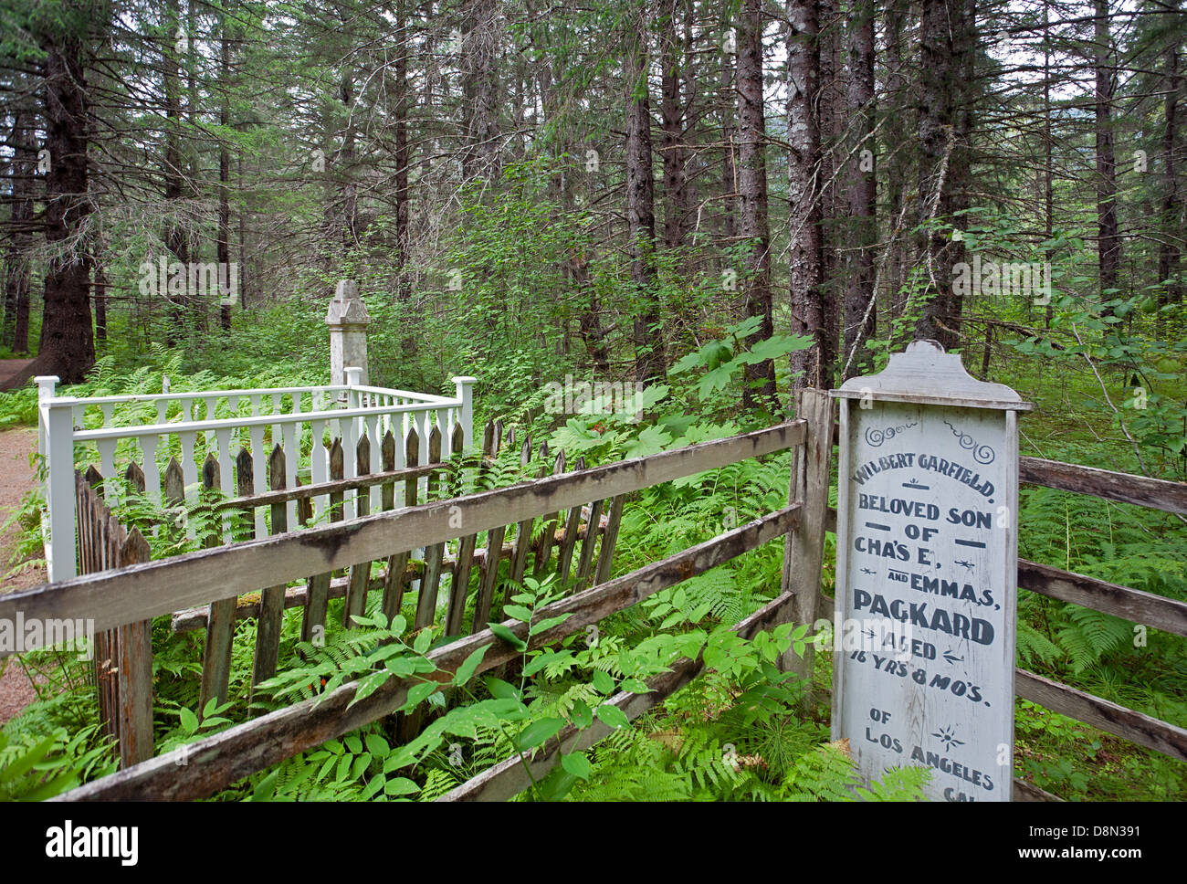 1898 avalanche cemetery. Dyea (ghost town). Chilkoot trail. Alaska. USA Stock Photo