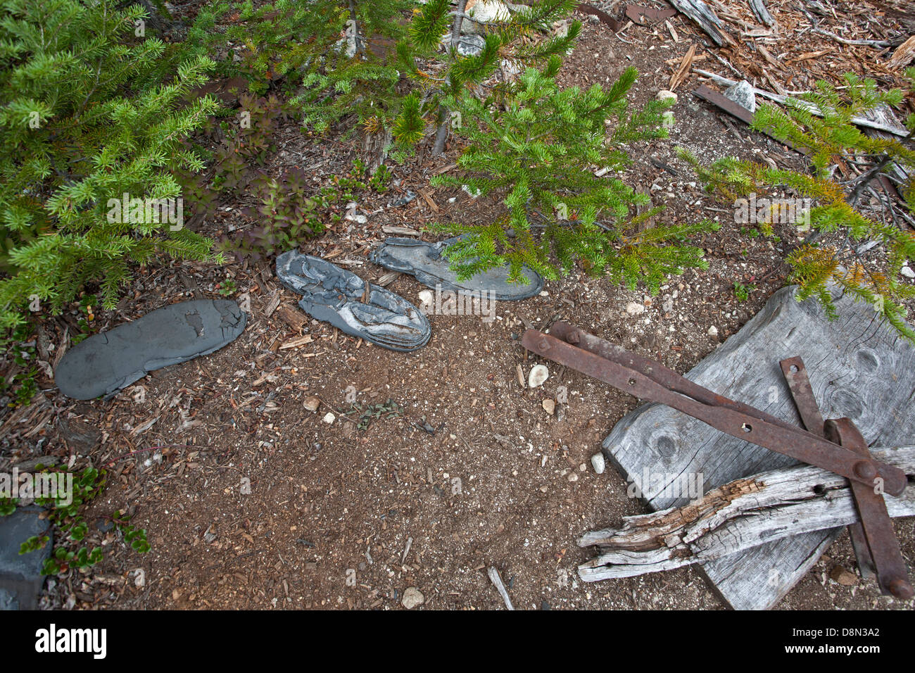Gold seekers hires stock photography and images Alamy