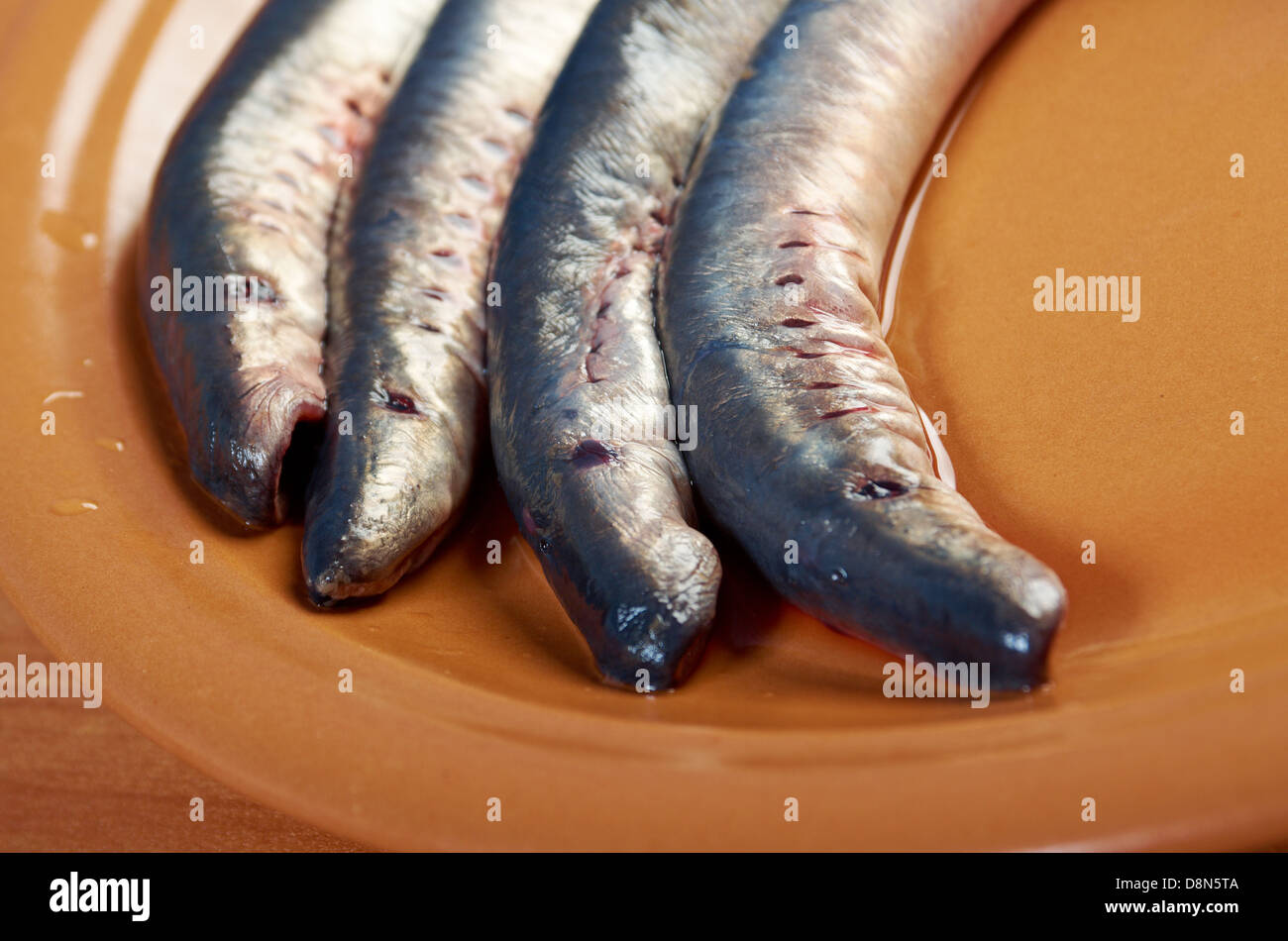 Fresh fish lamprey Stock Photo