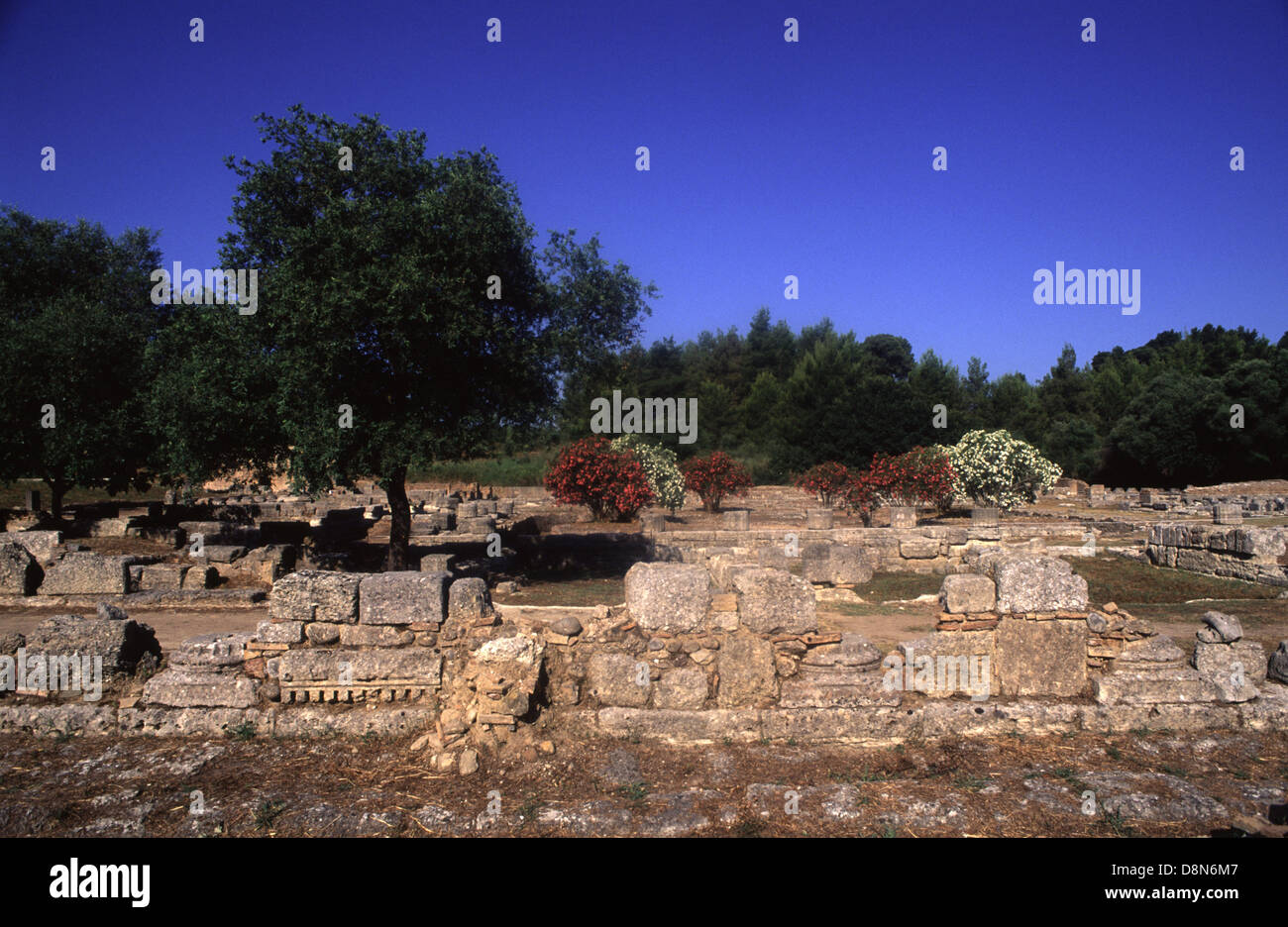 Ruins in Olympia a sanctuary of ancient Greece in Elis on the Peloponnese peninsula, Stock Photo