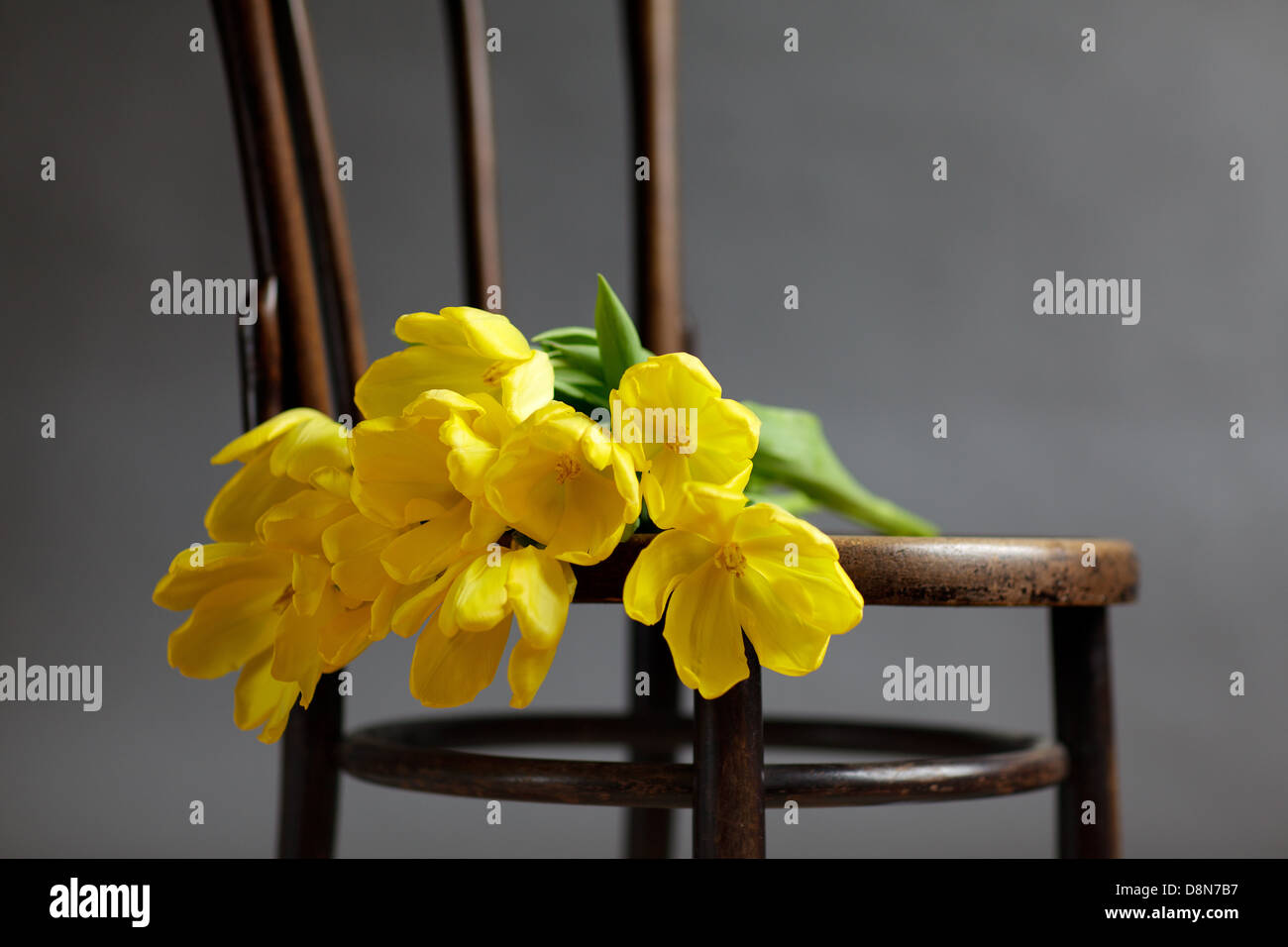 Still Life with Yellow Tulips Stock Photo - Alamy