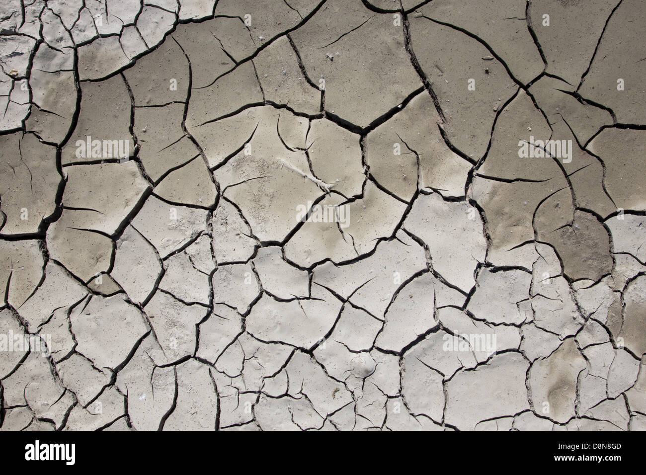 dry earth Stock Photo