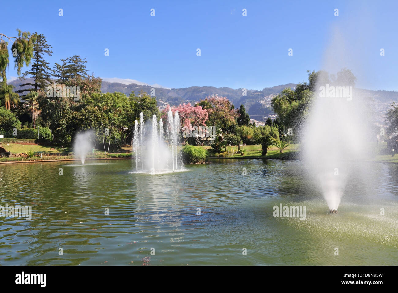 A  sunny day in the park Stock Photo