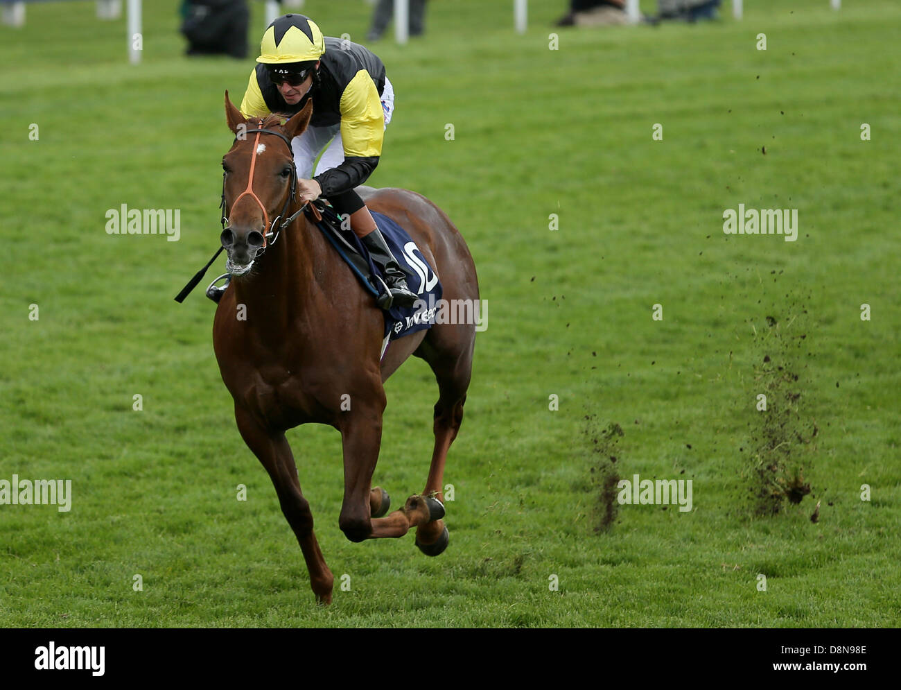 Epsom Downs, Surrey, UK. 1st June 2013.   Richard Hughes rides 'Thunderstrike' to win the Investec Woodcote Stakes on The Investec Derby Day from Epsom Racecourse. Credit:  Action Plus Sports Images/Alamy Live News Stock Photo