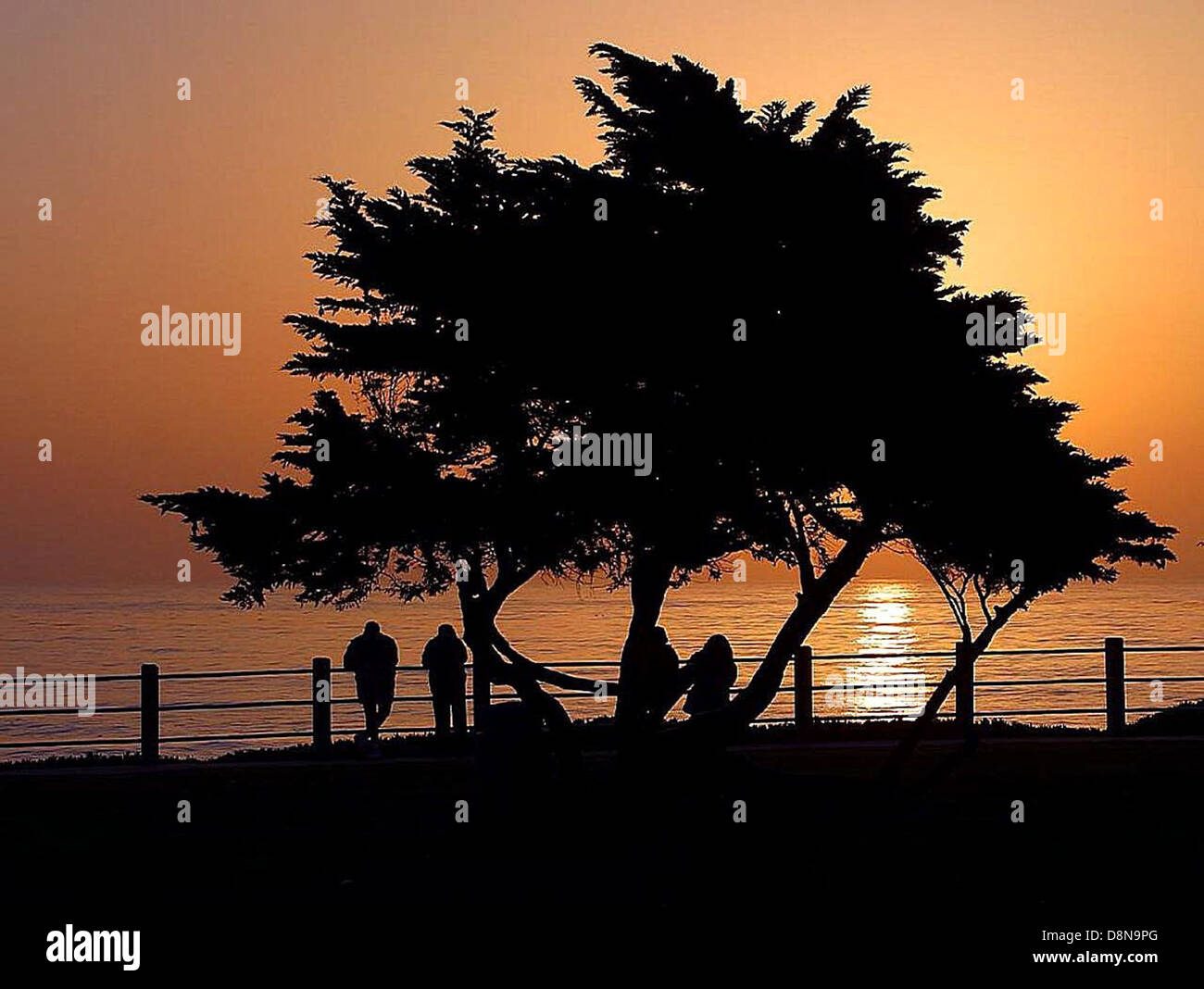 Sunsets in LA: A July Guide to Witnessing Magical Views