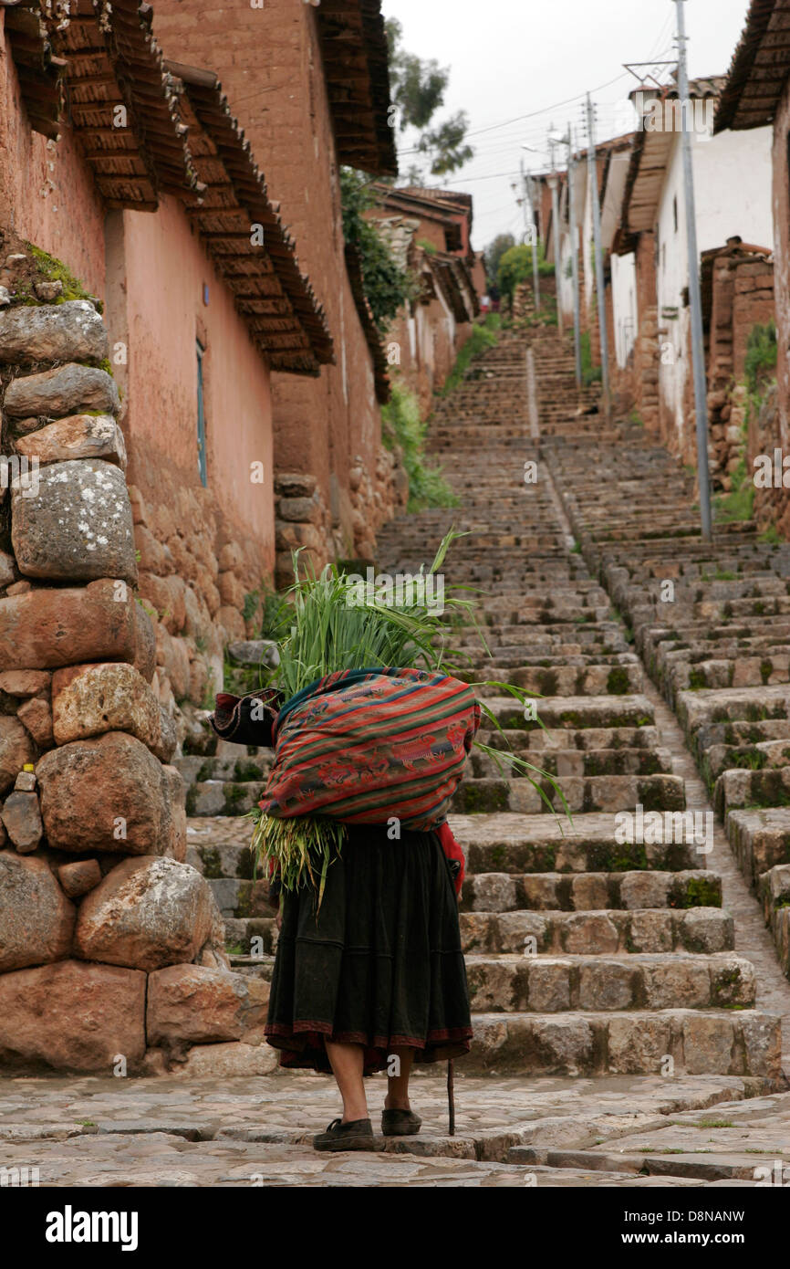 Old Quechua woman in traditional round hat and dress carrying a bunch of  grass, Chinchero near Cuzco, Peru, South America Stock Photo