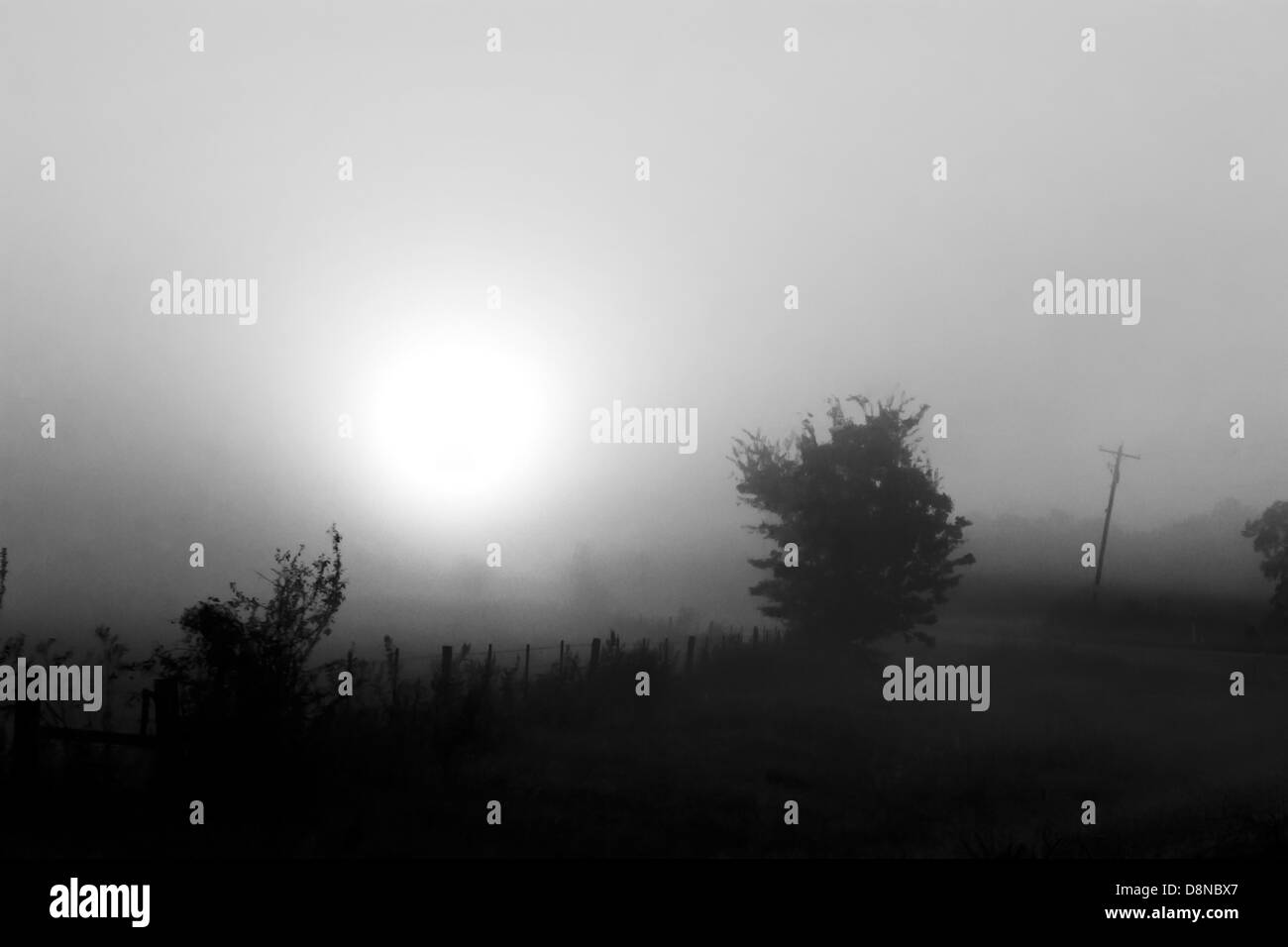 Rising sun Black and White Stock Photos & Images - Alamy