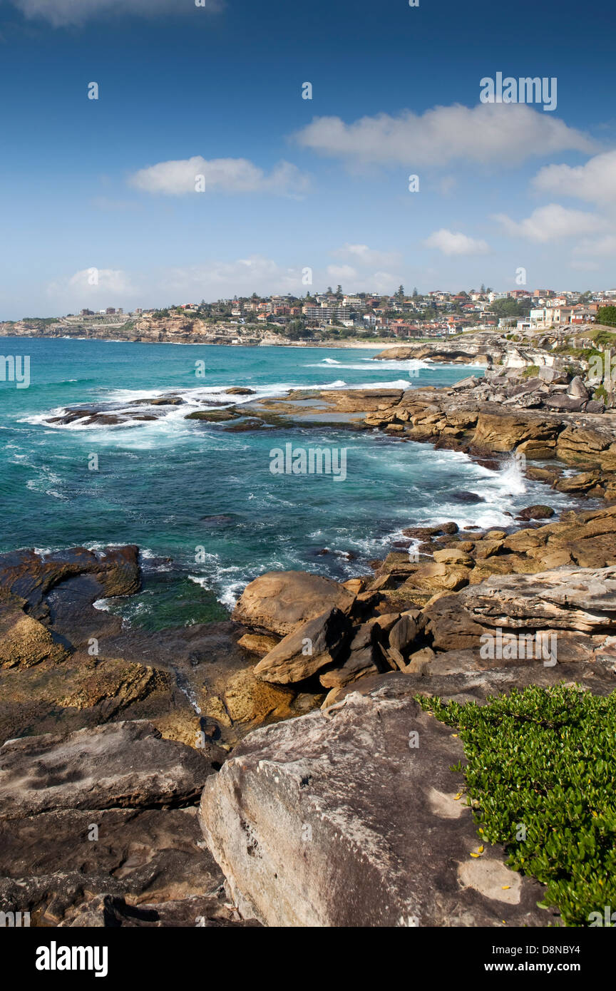 A view of the cliffs in the Eastern suburbs of Sydney, in Australia