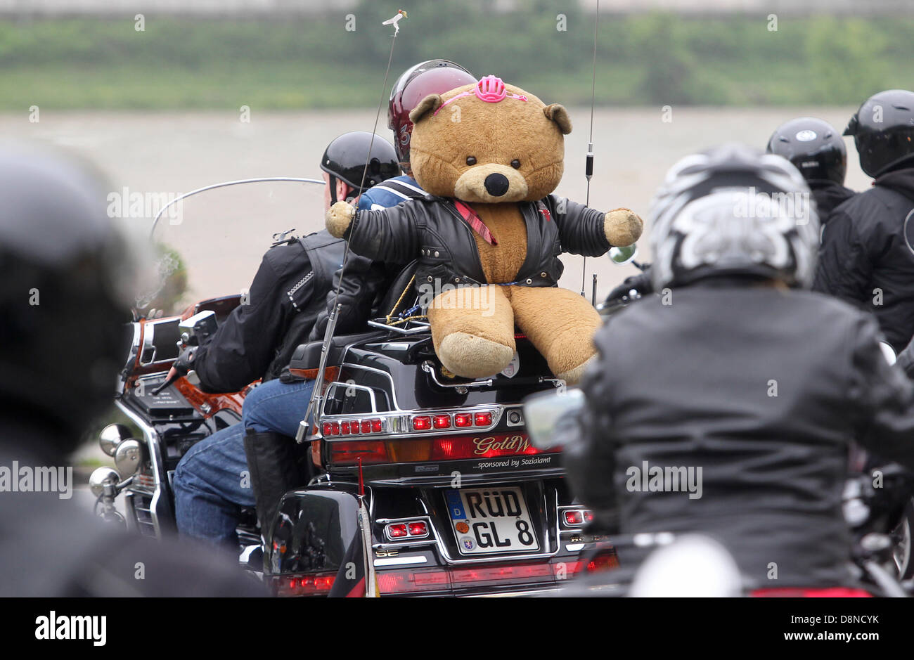 harley davidson teddy