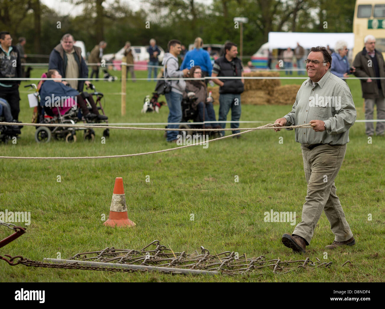 Man happily working his Heavy Horse Stock Photo