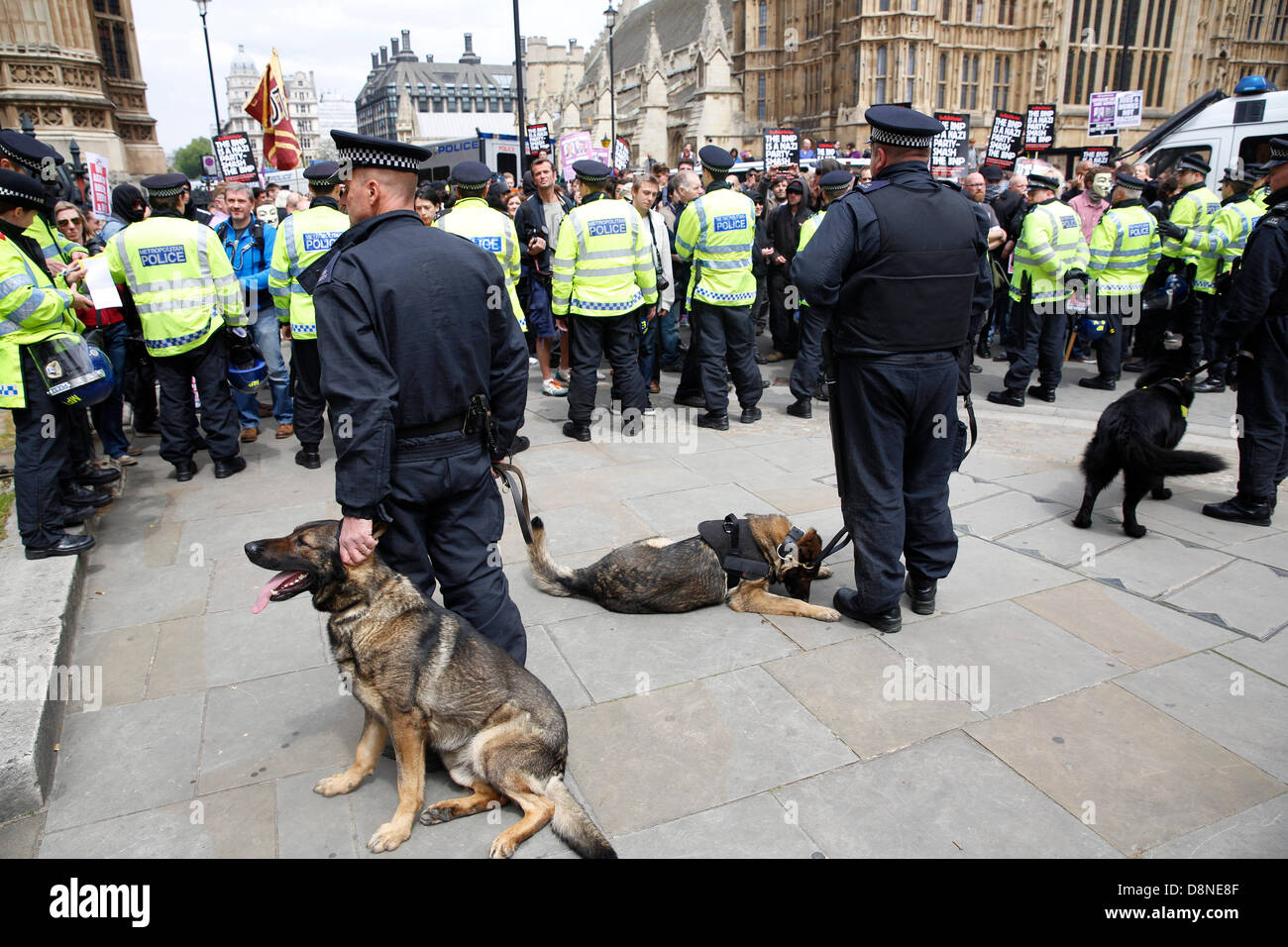 London, UK. 1st June 2013. Rally at Westminster against the BNP national party by anti fascist campaigners. Police dogs were brought to the scene. Credit:  Lydia Pagoni/Alamy Live News Stock Photo