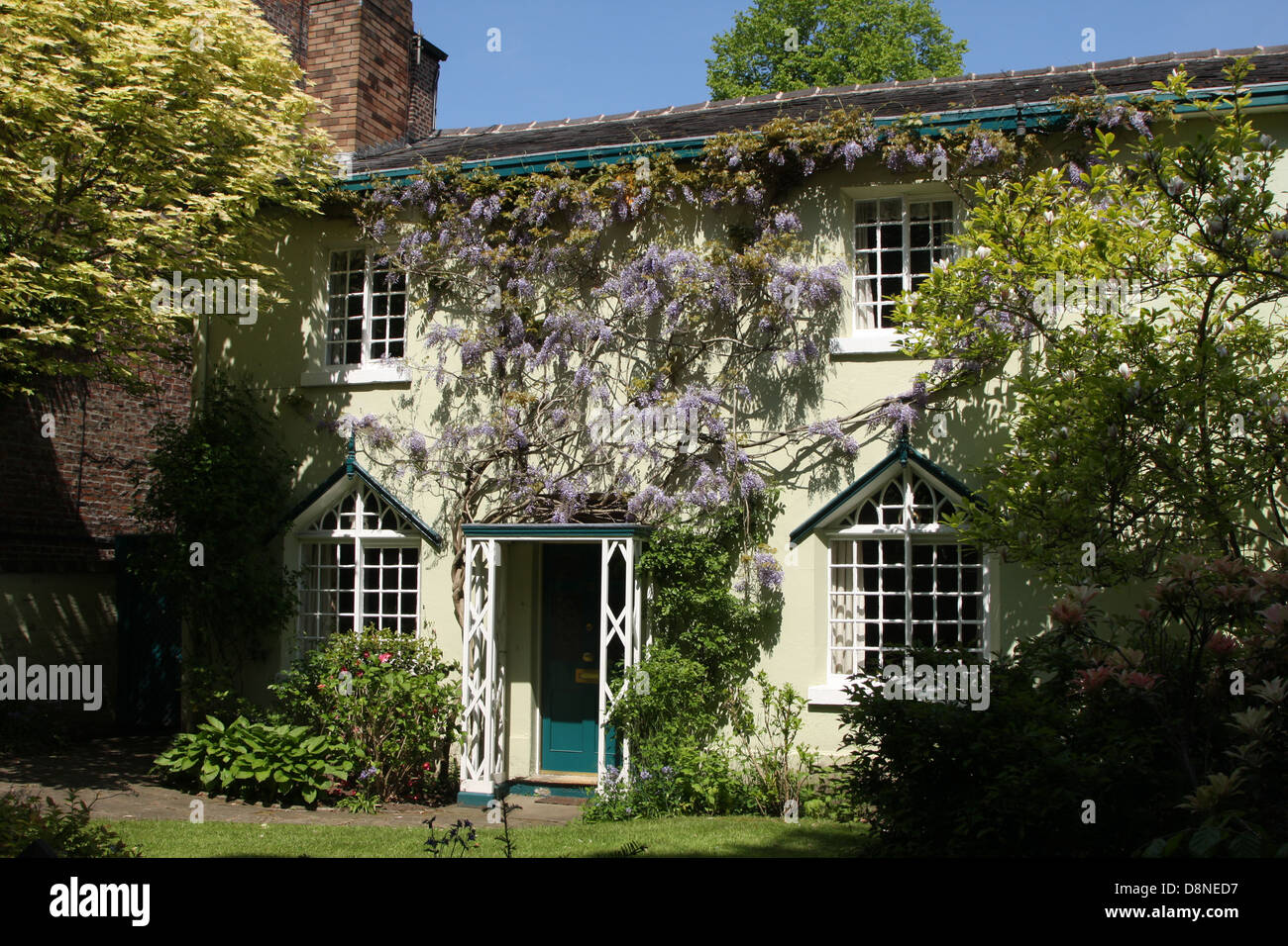 A beautiful wisteria covered cottage in the village of Bowdon Cheshire England Stock Photo Alamy
