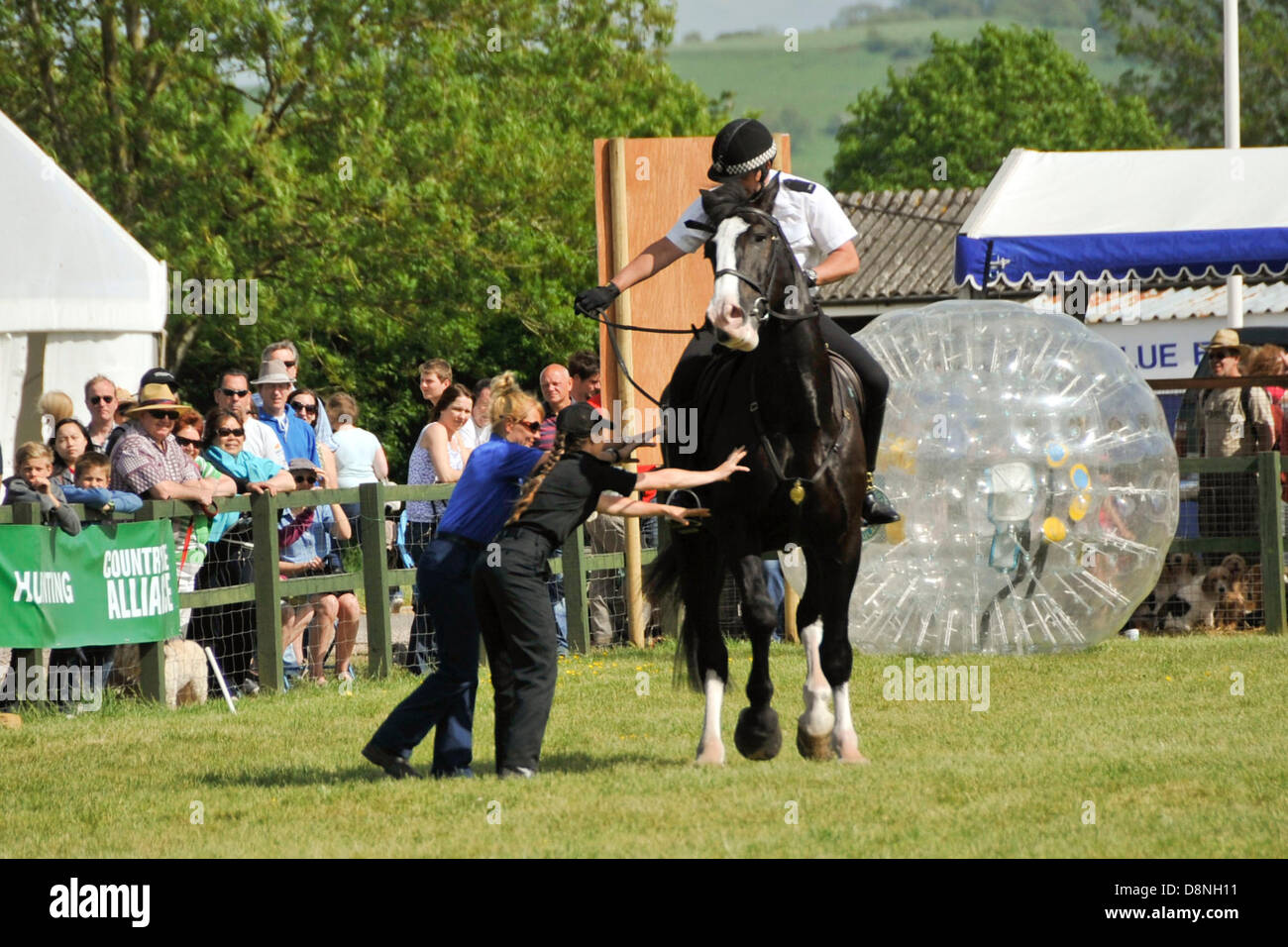 London, UK. 1st June, 2013. Police horse, Jubilee from Avon and