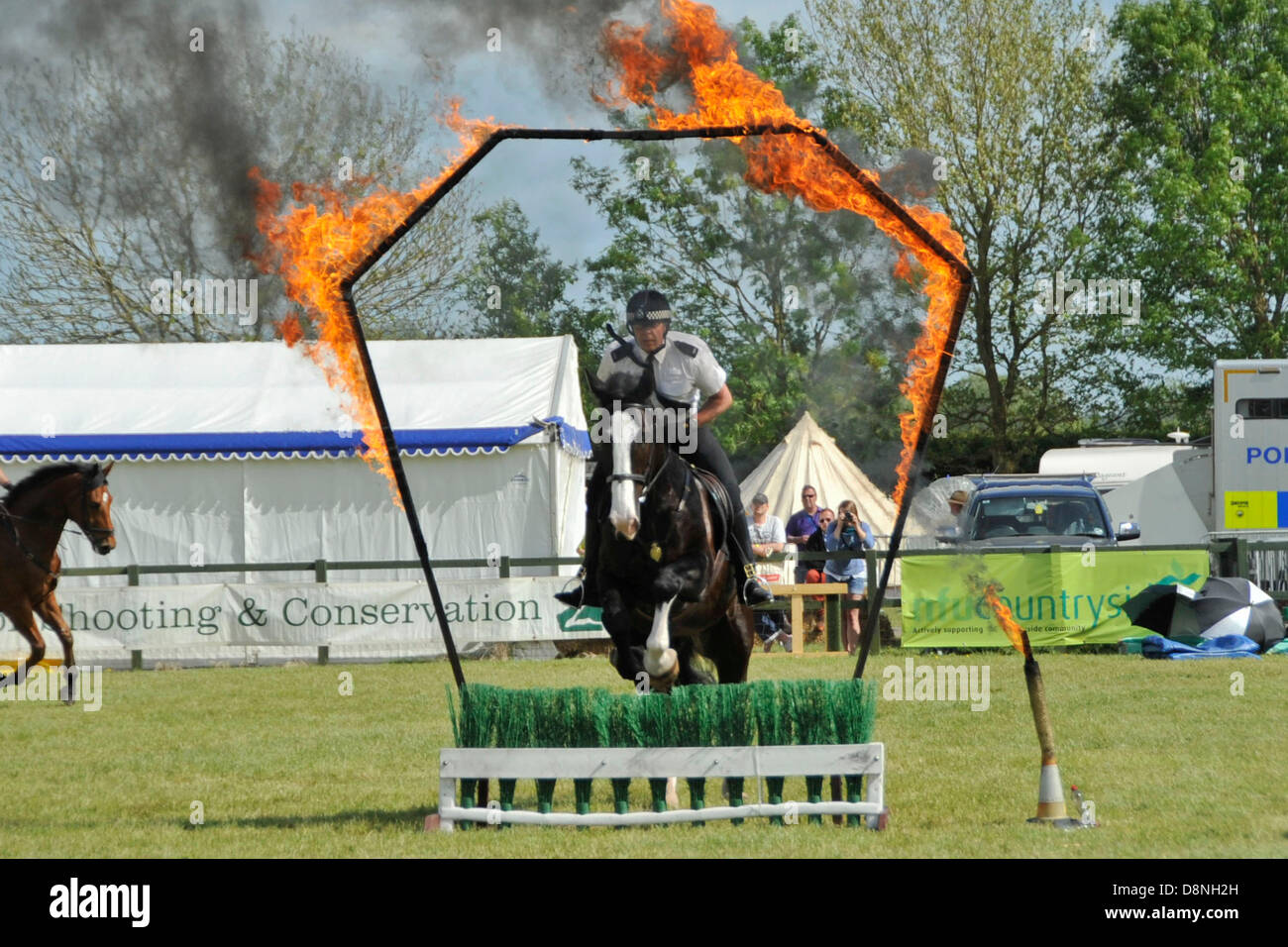 London, UK. 1st June, 2013. Police horse, Jubilee from Avon and