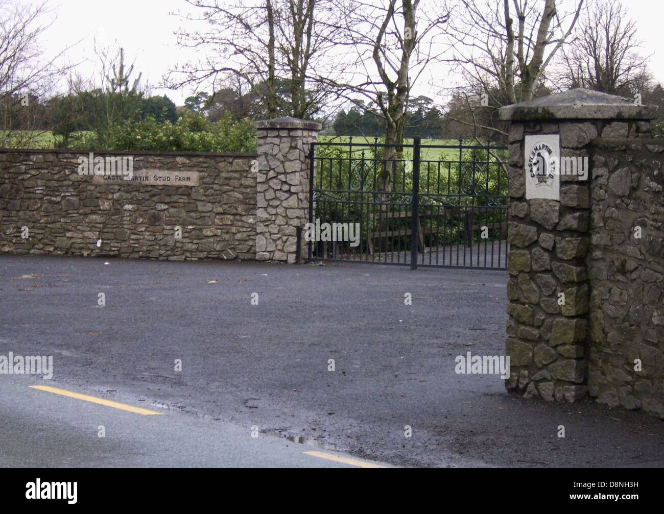 Working entrance castlemartin stud kilcullen co kildare Stock Photo Alamy