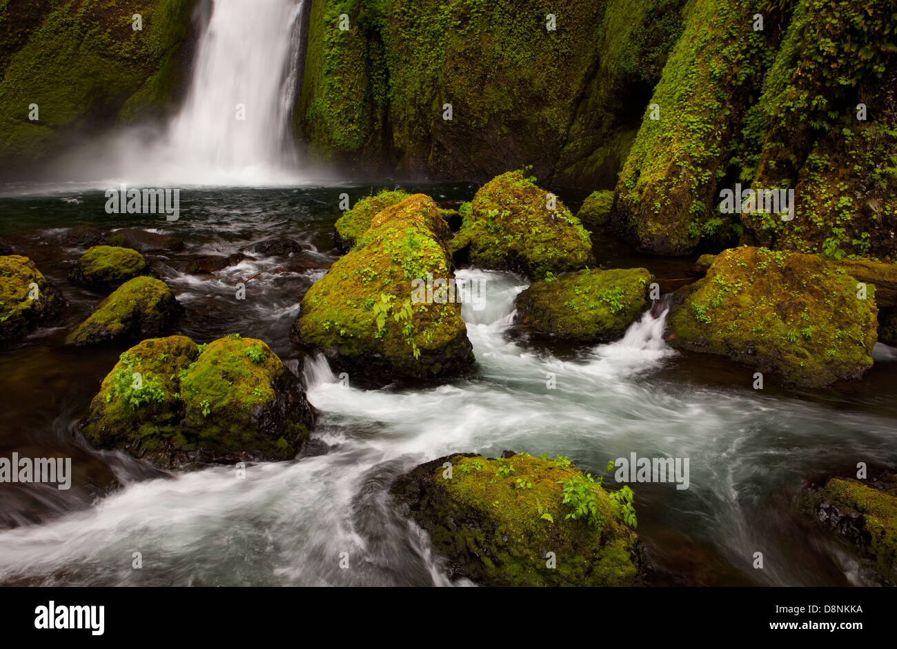 Wahclella Falls Columbia River Gorge National Scenic Area Oregon USA wahclella-falls-columbia-river-gorge-national-scenic-area-oregon-usa
