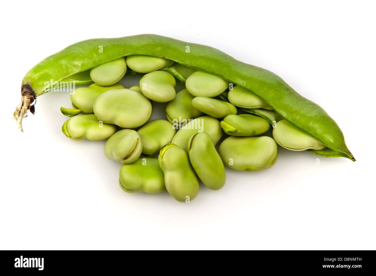 Broad Beans Stock Photo
