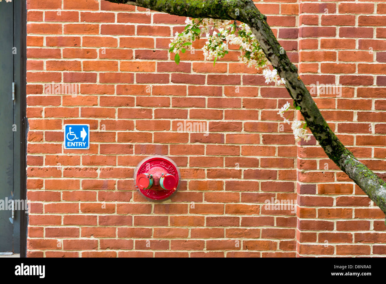 Old brick wall with blue handicap sign and tree Stock Photo - Alamy