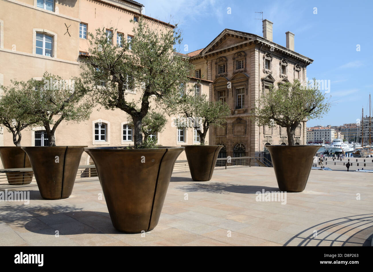 Giant Pottery Planters with Olive Trees on Old Port Town Square & Town Hall Marseille Provence France Stock Photo