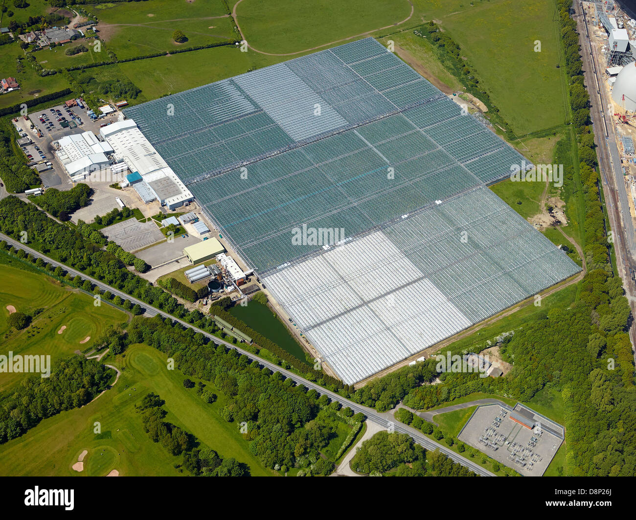 Commercial Greenhouses, North Yorkshire, North England, UK Stock Photo