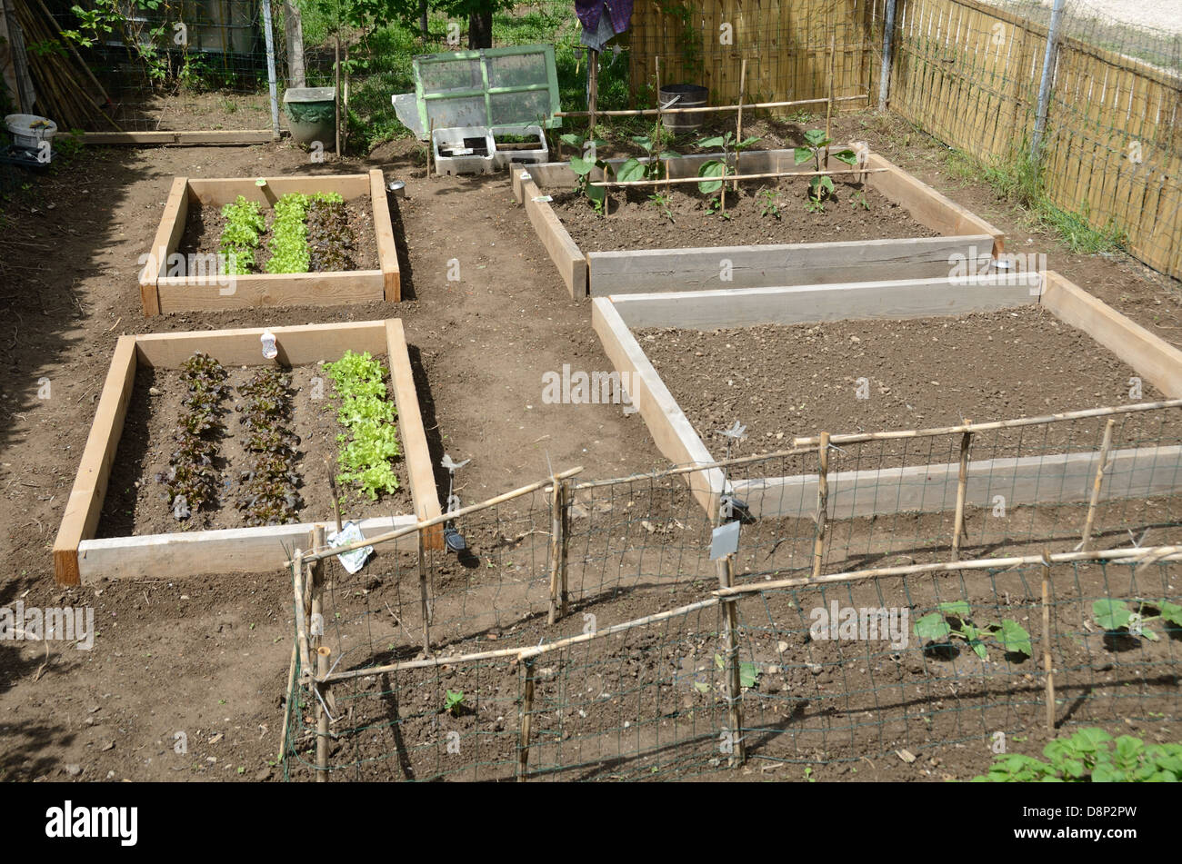 Newly Prepared Kitchen Garden or Vegetable Garden at Beginning of the