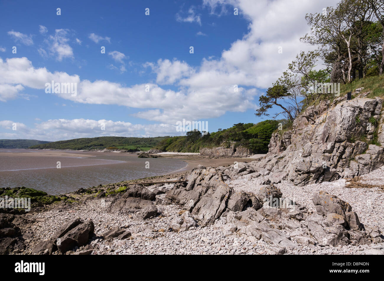 The coast at Silverdale, Lancashire. This is the north end or Morecambe Bay close to the estuary of the River Kent. Stock Photo