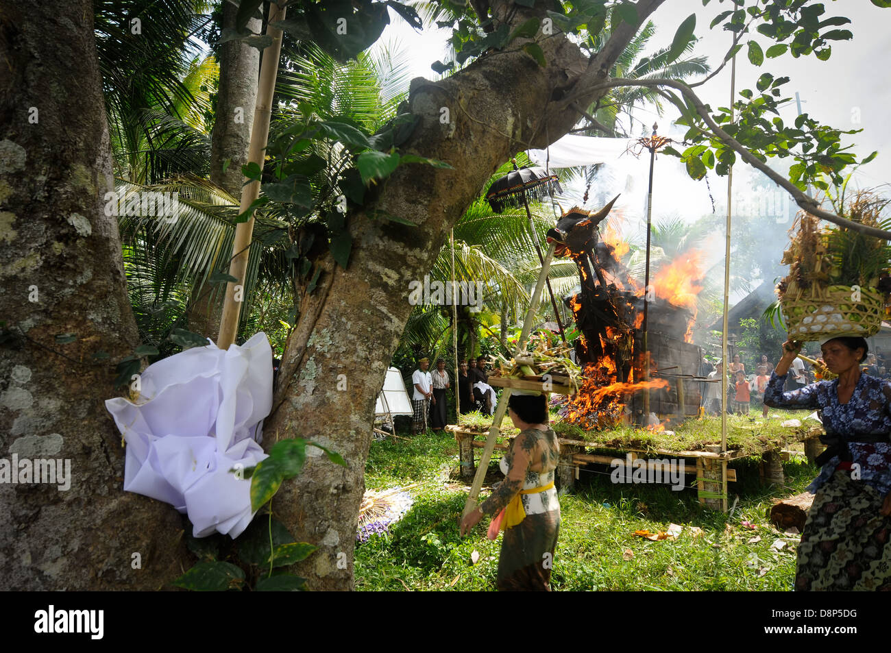 Hindu rituals on the Indonesian island of Bali Stock Photo - Alamy