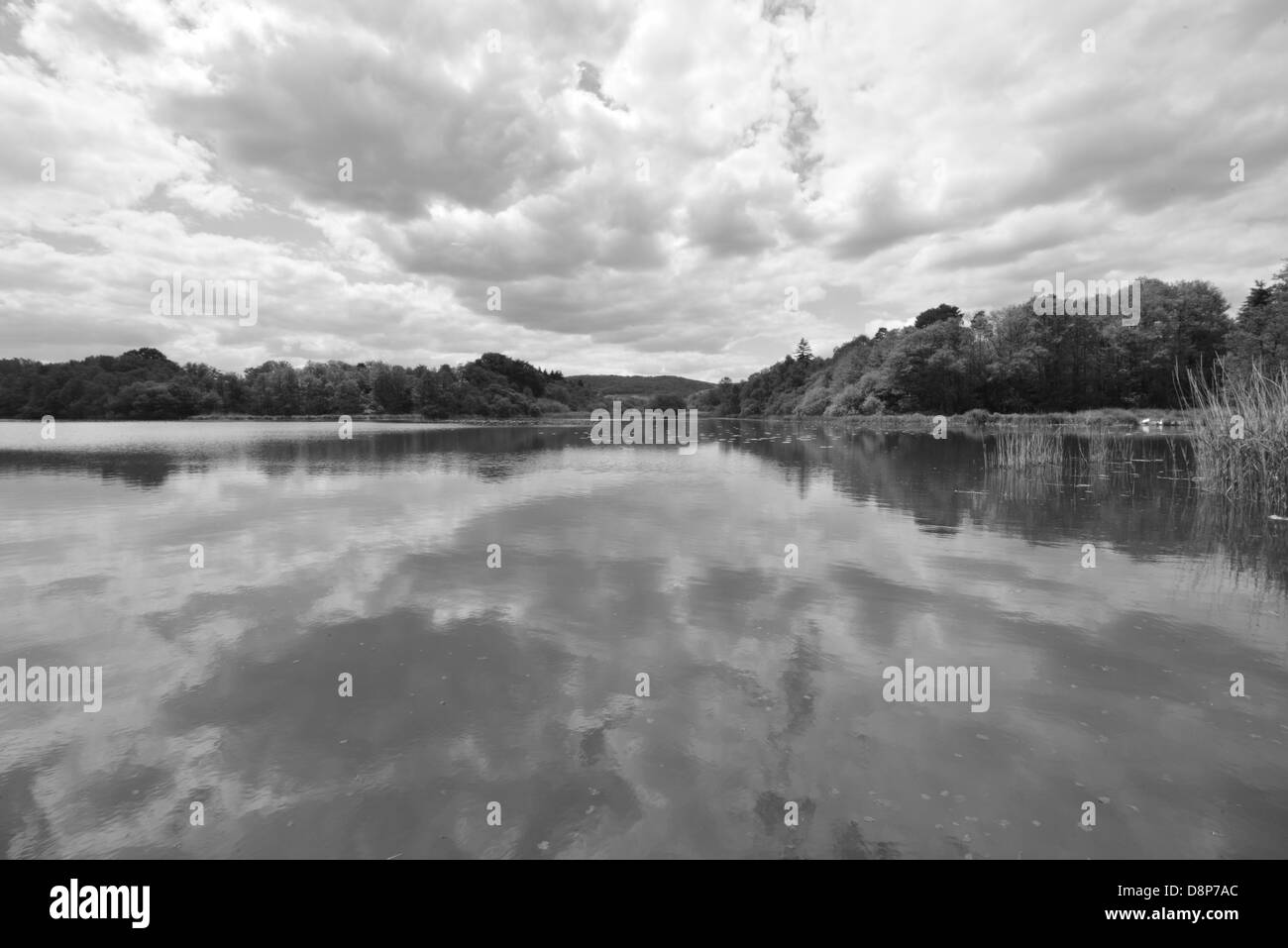 Burton Mill pond in West Sussex, England Stock Photo Alamy