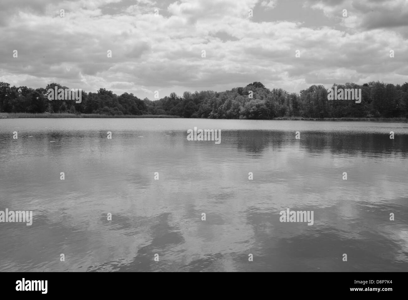 Burton Mill pond in West Sussex, England Stock Photo Alamy