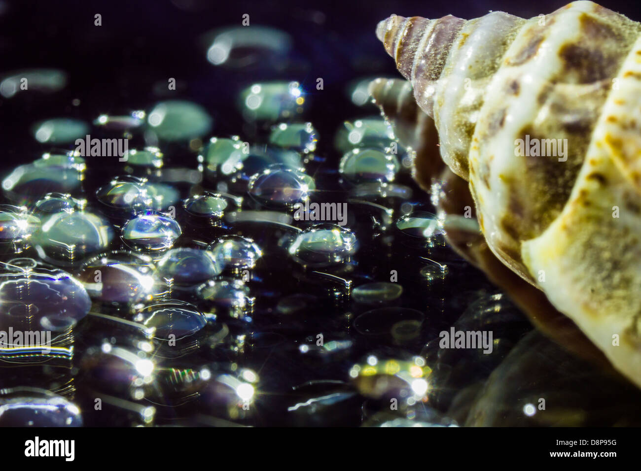 Abstract water drops macro background Stock Photo - Alamy