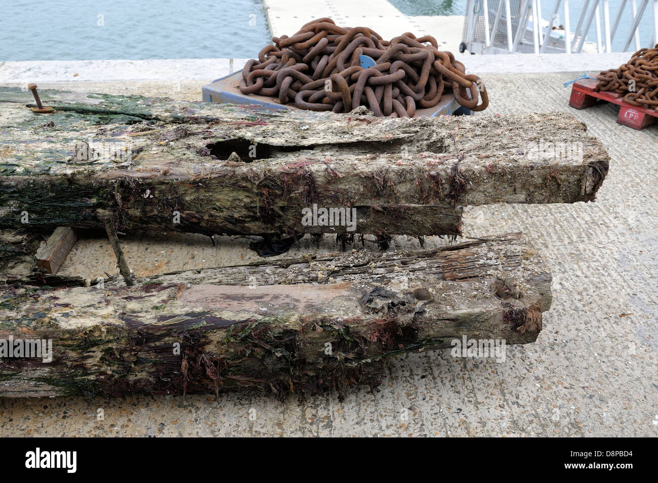 rotting pier timber piles removed from swanage pier by contractors jenkins marine Dorset Engand uk Stock Photo