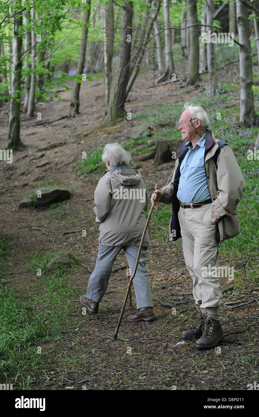 Elderly married couple hiking in bluebell wood near Faceby, North Yorkshire Moors, National Park. Stock Photo